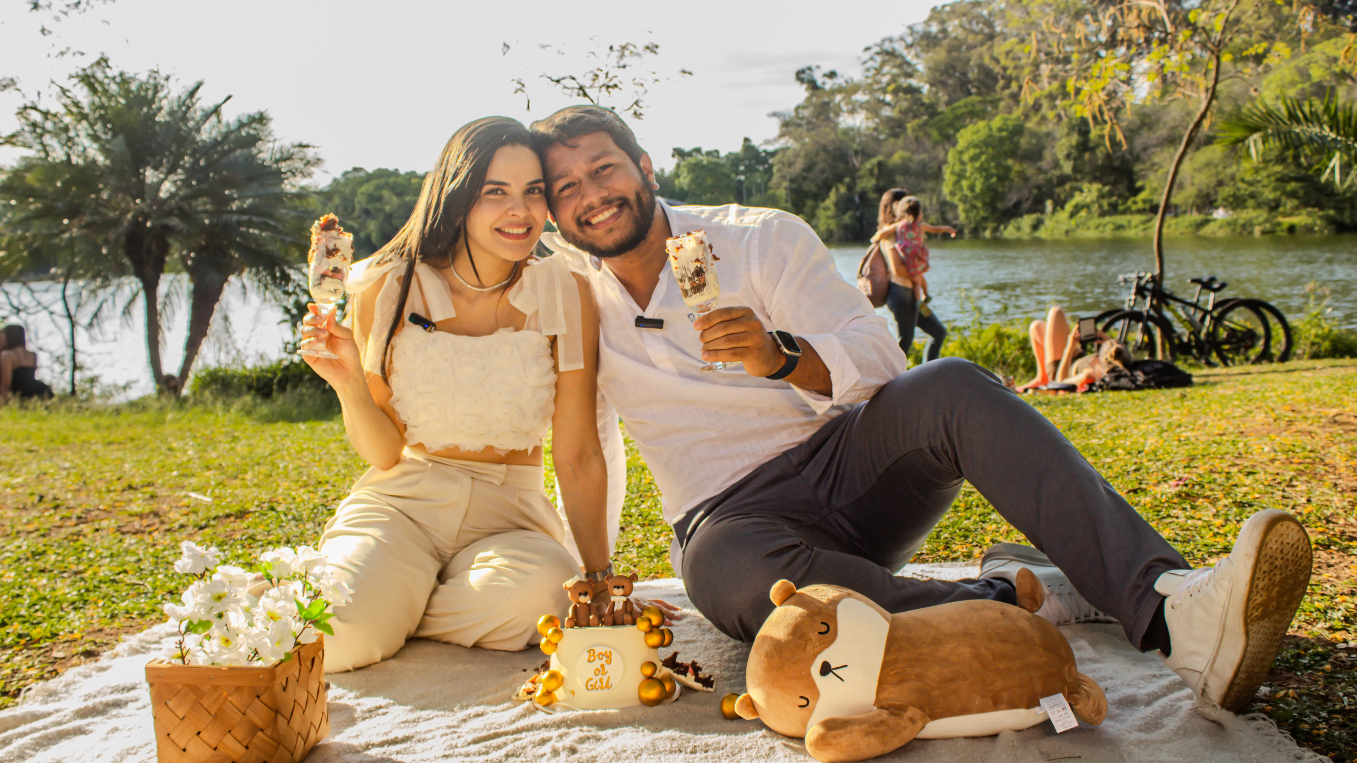 Solução social media